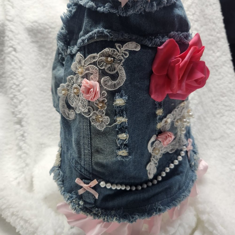 dog denim jacket